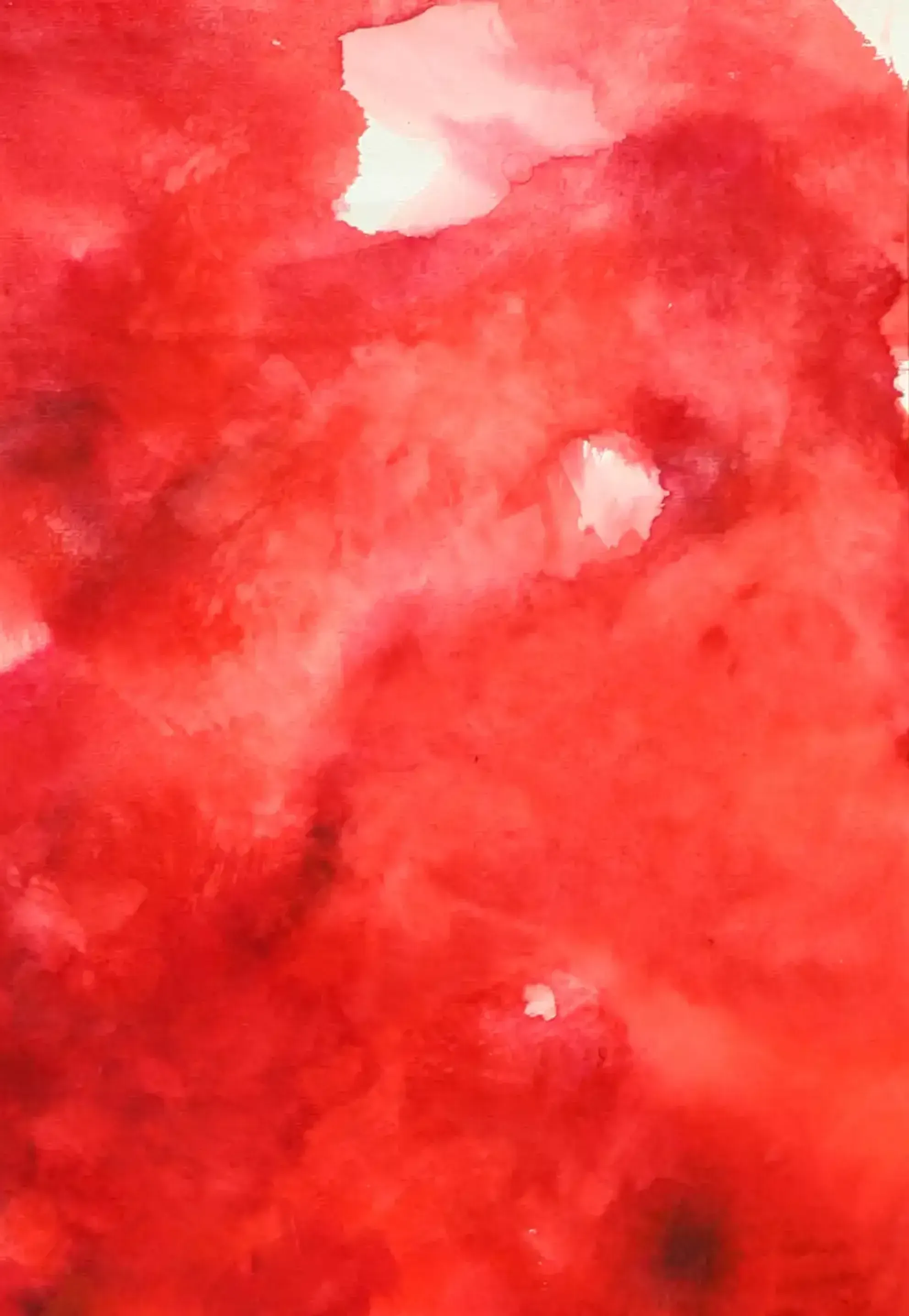 Farbe Rot 2 - Eine ausdrucksstarke Darstellung in Aquarell. (2)