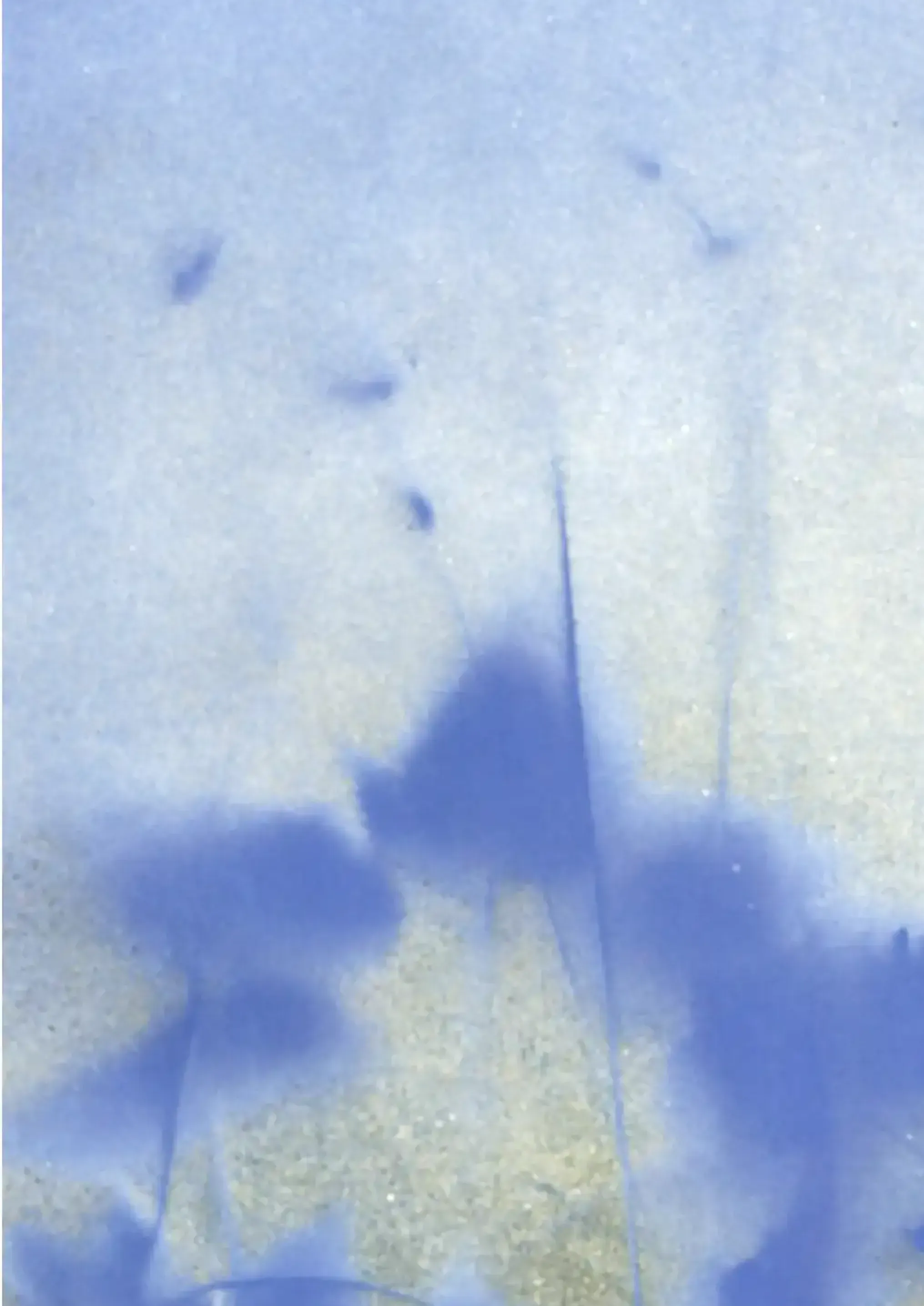 A spray paint artwork capturing the wild essence of a nettle plant. (3)