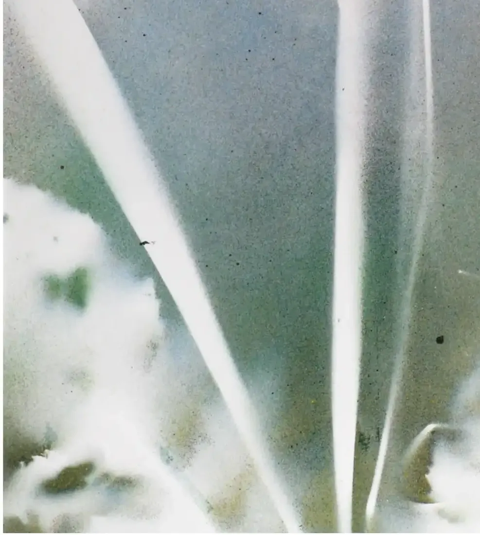 A spray paint artwork immersed in white tones creating an ethereal atmosphere. (2)