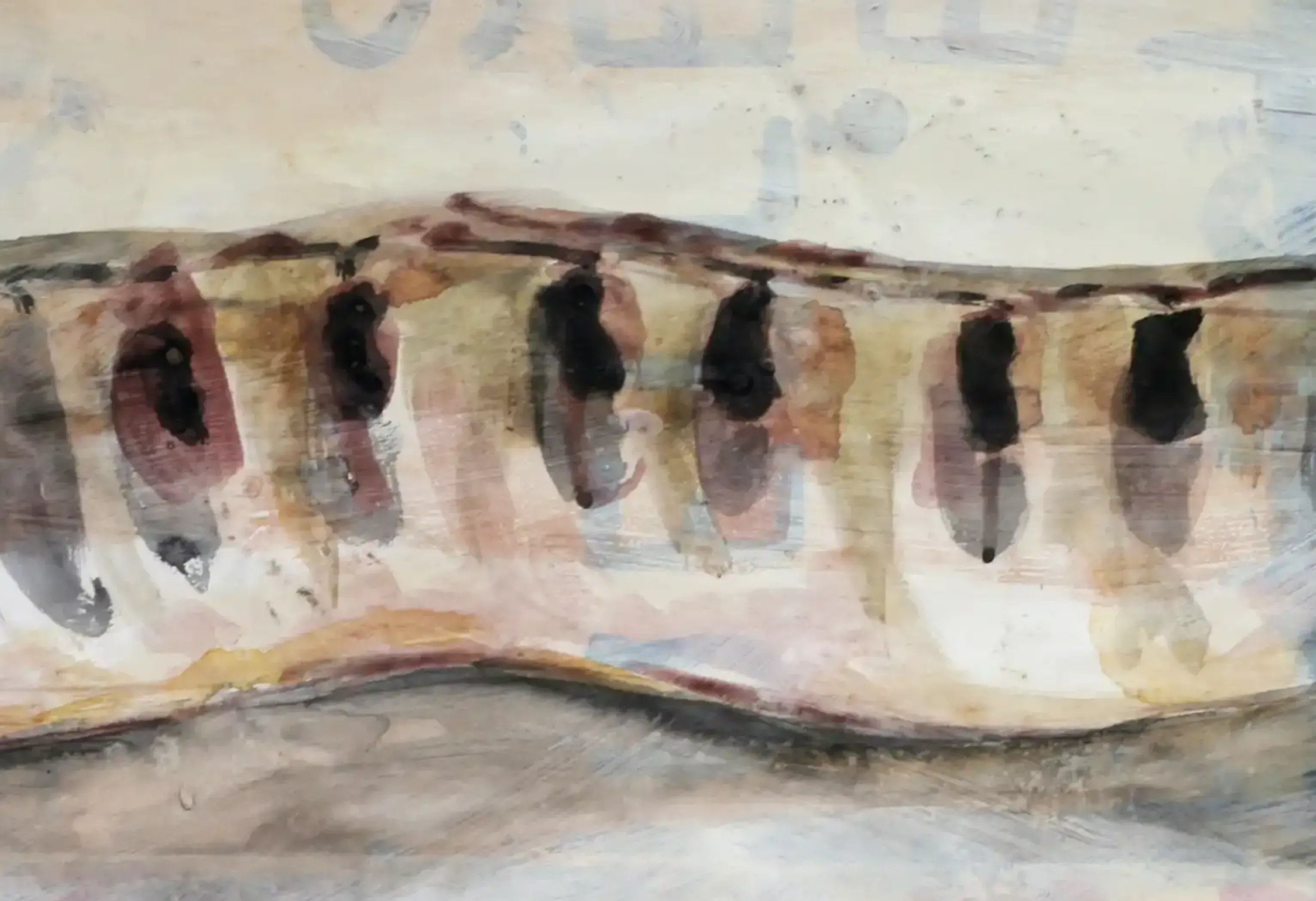 An acrylic painting focusing on the organic form of a bean. (2)