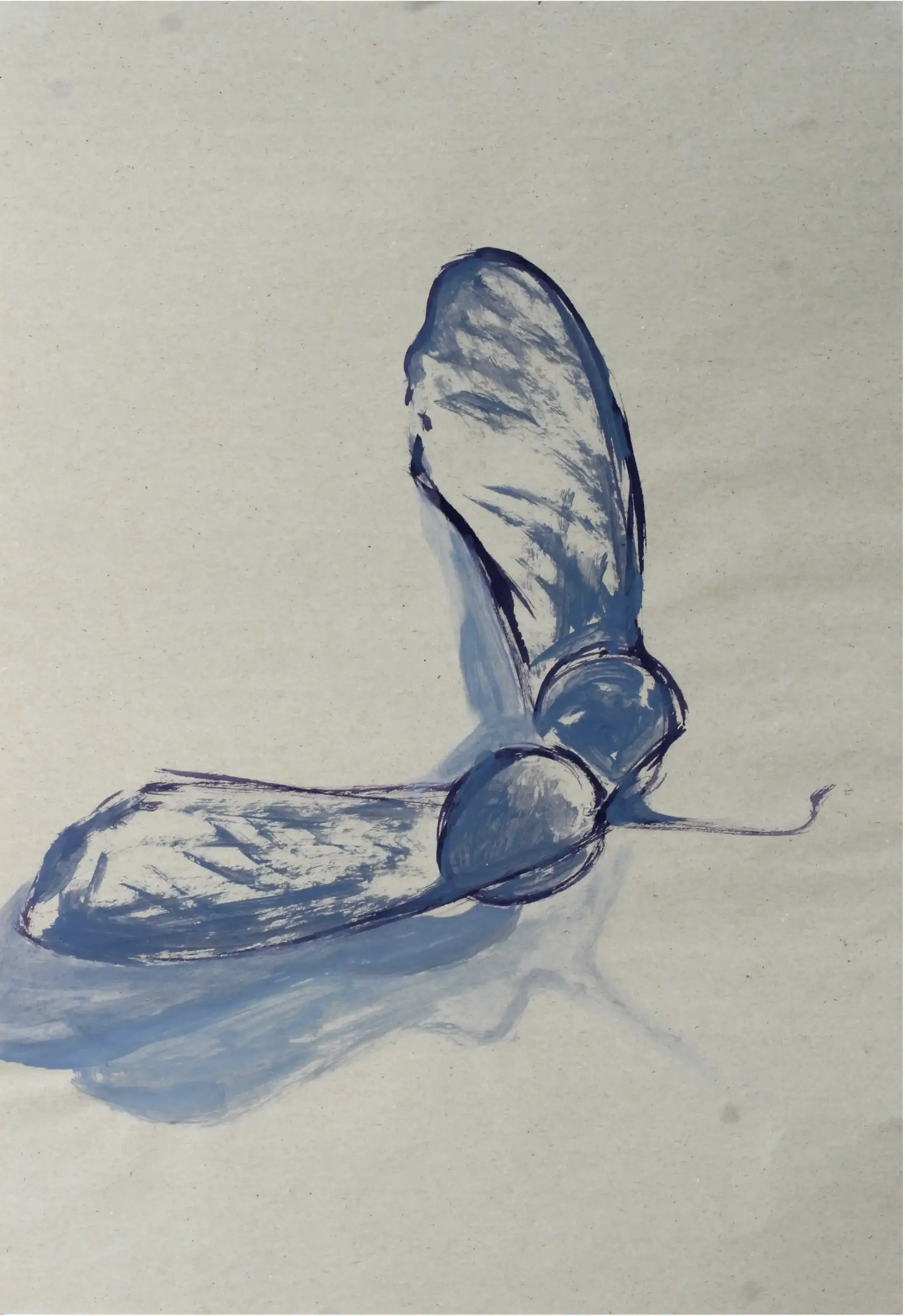 An ink drawing capturing the floating movement of maple seeds.