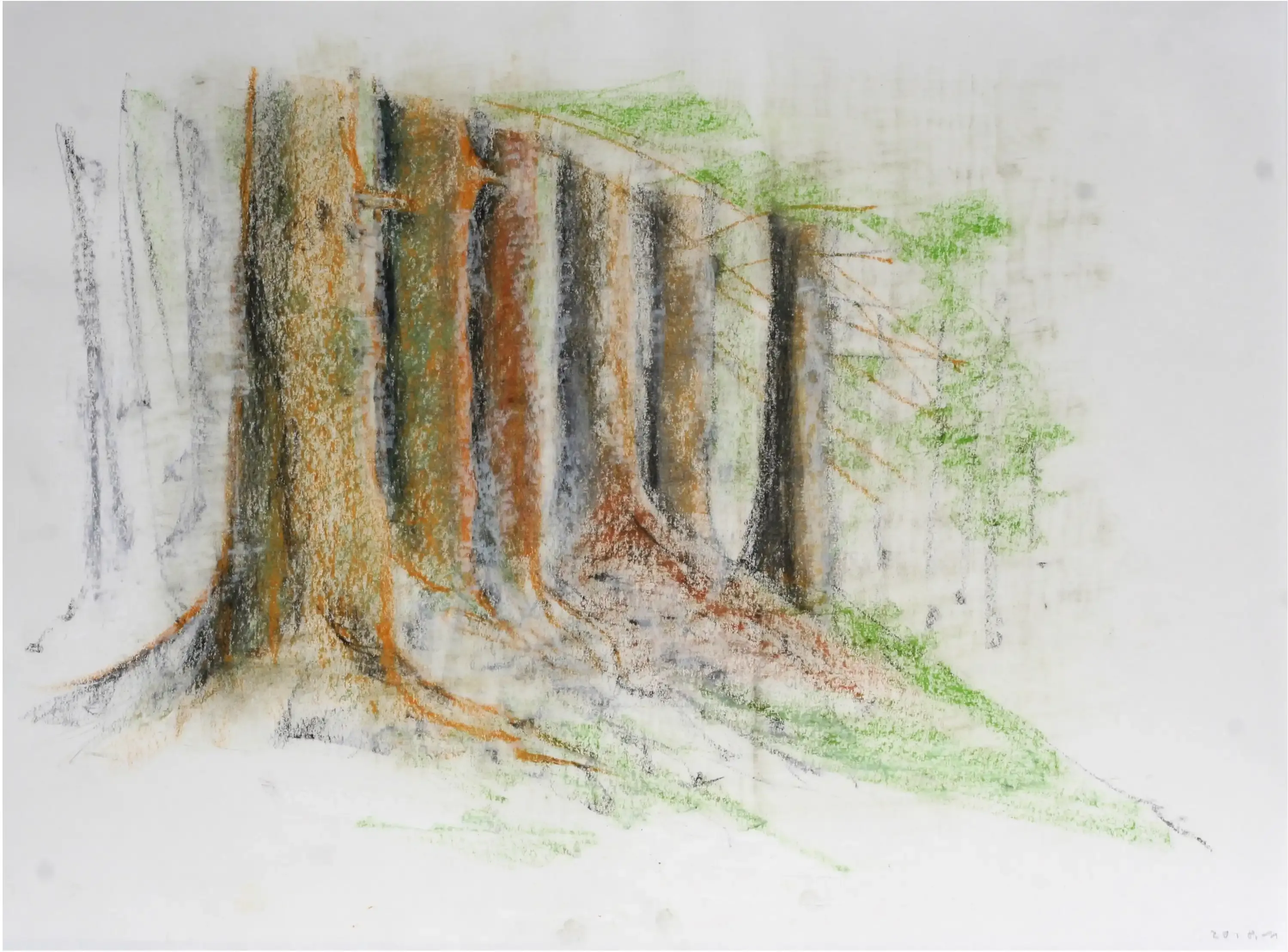 A drawing of tree trunks in sequence using pencil and pastel chalk.
