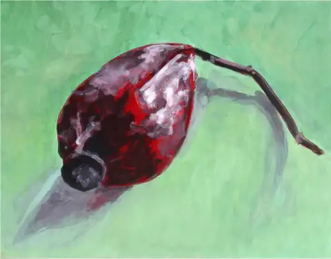 A detailed painting of a rosehip with dynamic light and shadow.